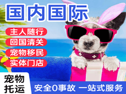 富蕴可可托海机场邮寄国际宠物托运 【国
